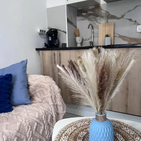 Appartamento Estudios Con Encanto Alicante