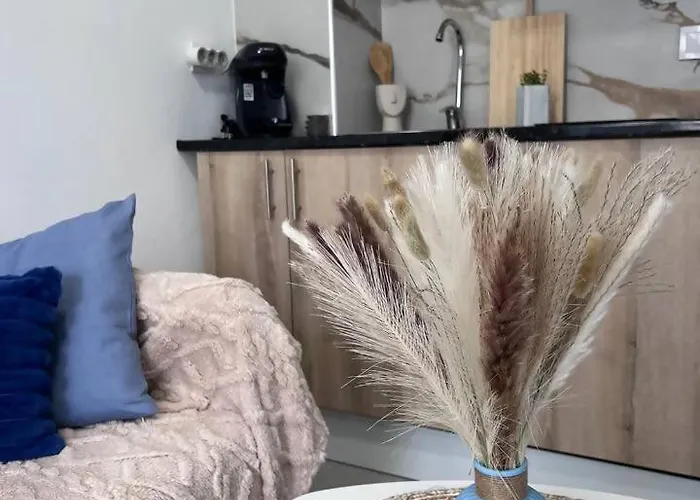 公寓 Estudios Con Encanto 阿利坎特